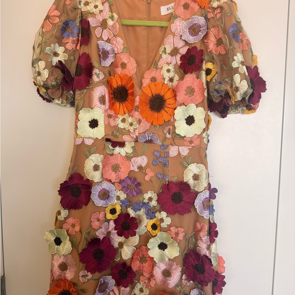 Elliatt Floral Embroidered Peach Mesh Dress